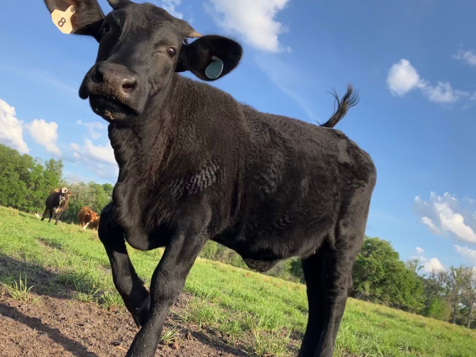 20230326_221129562_iOS