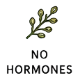 4 - horm