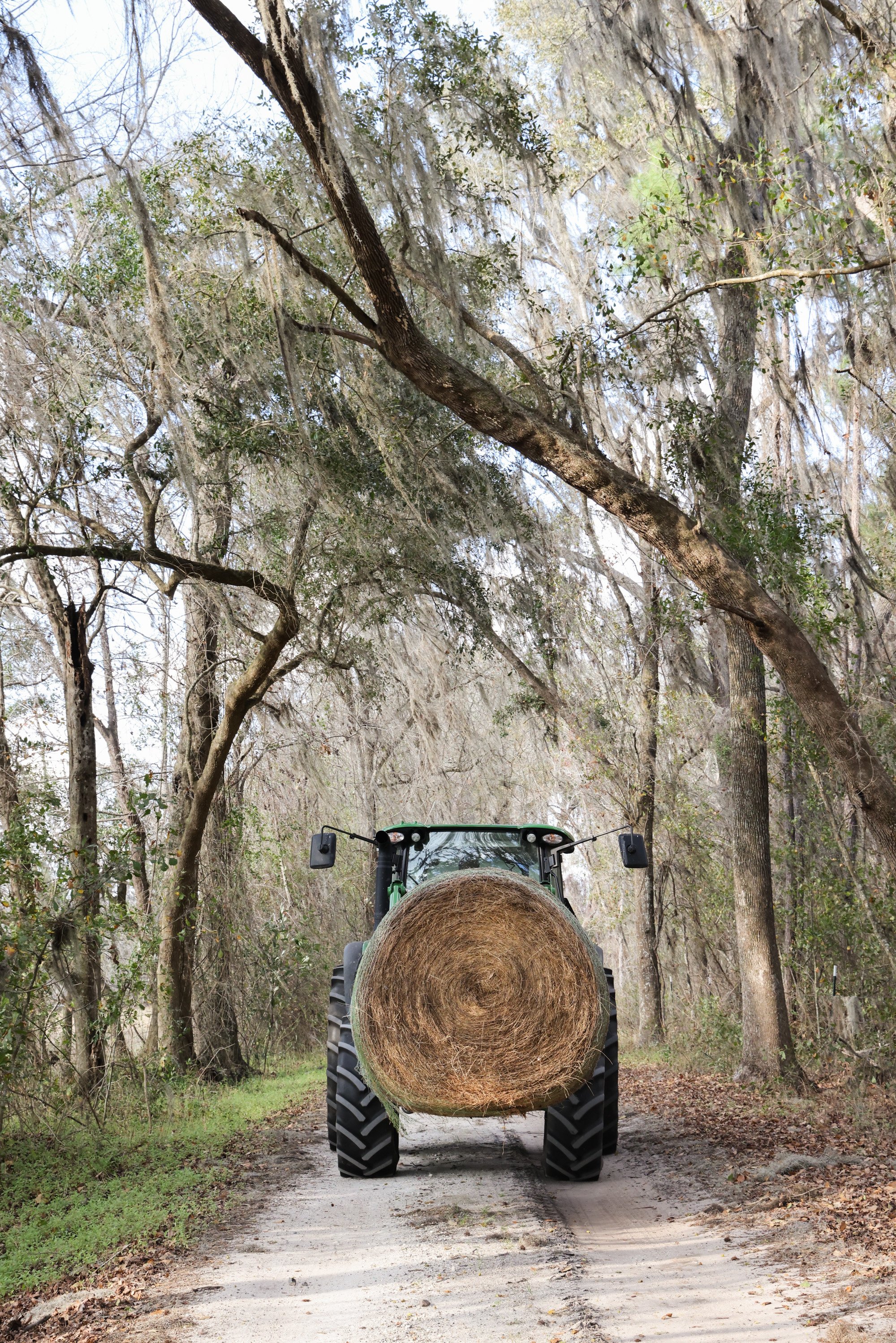 A tractor driving down a dirt road carrying a bale of hay. Taken at Three Oak Farm.